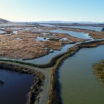 Aerial view of the Blacklock restoration site in Suisun Marsh. Photo by Department of Water Resources.