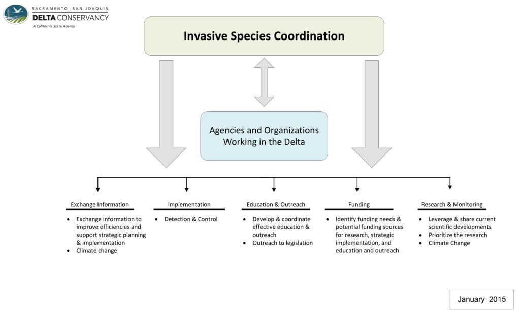 The figure is a flow chart that begins with Invasive Species Coordination with arrows that point forward to Agencies and Organizations Working in the Delta as well as back to Invasive Species Coordination. From Invasive Species Coordination, there are also arrows that point down to 5 different categories: Exchange Information, Implementation, Education and Outreach, Funding, and Research and Monitoring. Here these 5 categories and the specific tasks under each of the categories are described as a list. Category 1: Exchange Information. Tasks: exchange information to improve efficiencies and support strategic planning and implementation, and climate change. Category 2: Implementation. Task: detection and control. Category 3: Education and Outreach. Tasks: develop and coordinate effective education and outreach, and outreach to legislation. Category 4: Funding. Task: identify funding needs and potential funding sources for research, strategic implementation, and education and outreach. Category 5: Research and Monitoring. Tasks: leverage and share current scientific developments, prioritize the research, and climate change.