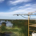 Equipment on this tower measures fluctuations in greenhouse gas emissions for managed wetlands on Sherman Island in the Sacramento-San Joaquin Delta.