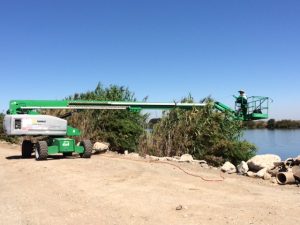 Chemical treatment of Arundo on a levee bank using an aerial boom lift.  Photo by Sonoma Ecology Center.