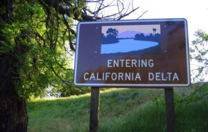 A sign reading "Entering California Delta" next to a tree in the Sacramento-San Joaquin Delta