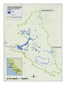 A map of the Sacramento-San Joaquin Legal Delta, located in Northern California, showing locations of Arundo donax infestations in this region color-coded to represent each location’s suggested eradication priority. The Sacramento-San Joaquin Legal Delta contains areas in Yolo County, Solano County, Sacramento County, San Joaquin County, Contra Costa County and Alameda County. The northern border of the Legal Delta extends to the city of West Sacramento and the Interstate 80 freeway in Yolo County. The western border extends past California State Route 113 in Solano County, and past the cities of Antioch and Brentwood in Contra Costa County. The southern border of the Legal Delta extends past the city of Tracy in southern San Joaquin County. The eastern border extends to the city of Stockton in San Joaquin County and to the Interstate 5 freeway in Sacramento County. The map shows infestations of Arundo donax within the legal Delta. The highest concentrations are in the Cache Slough Complex and along the Sacramento River downstream of Cache Slough. Most infested sites in this region are considered high priority for eradication. Arundo also has a high density along some of the main waterways in the central and southern portions of the Delta, including long stretches of the Old, Middle and San Joaquin rivers; but fewer sites in these areas are considered high priority for eradication. The northern and northeastern portions of the Delta harbor fewer arundo infestations than the central, western, and southern portions.