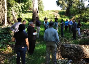 A group of 19 people observing a restoration project site while listening to a man speaking.