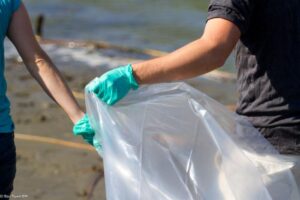 The arms and hands of two volunteers wearing green rubber gloves collecting trash into a clear plastic trash bag along the waterline during the Creek Clean Up.