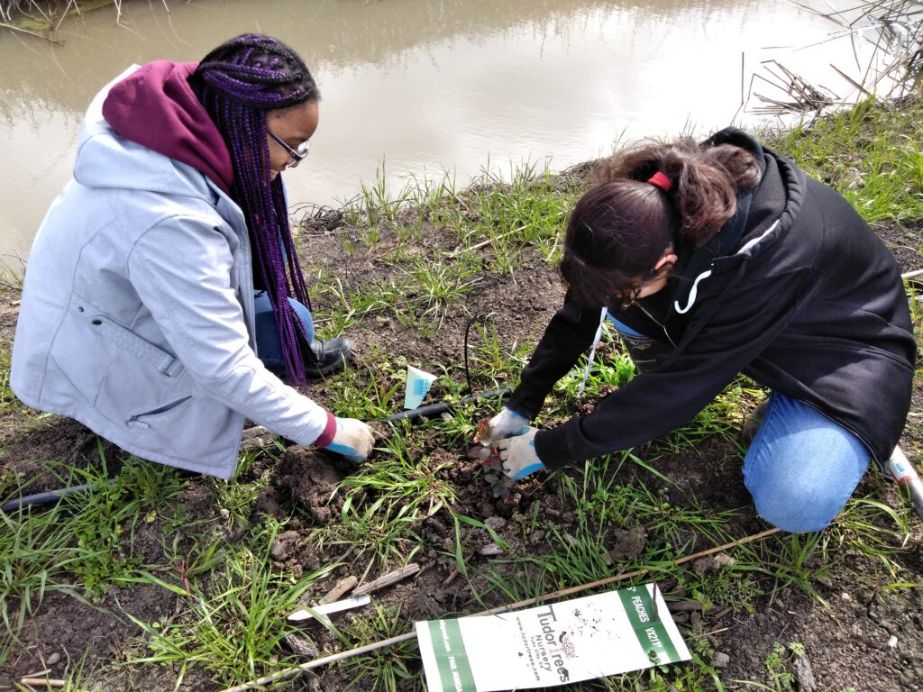 Two young women kneeling on the ground next to a creek, working together to place a small plant into the ground.