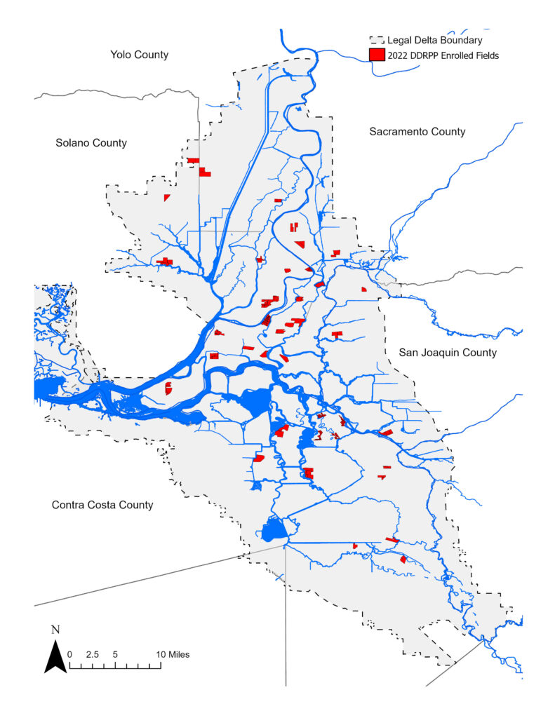 Map shows the locations of acreage (red) enrolled in the Sacramento-San Joaquin Delta Conservancy’s Delta Drought Response Pilot Program within the Legal Delta and Suisun Marsh. Major waterways such as the Suisun Bay, Sacramento River, and San Joaquin River are shown in blue. The Delta Conservancy’s service area is the Sacramento-San Joaquin Delta and Suisun Marsh in Northern California. This area contains parts of Yolo County, Solano County, Sacramento County, San Joaquin County, Contra Costa County, and Alameda County. The Delta Conservancy has two DDRPP projects in Yolo County, two DDRPP project areas in Solano County, 18 DDRPP project areas in Sacramento County, 13 confirmed DDRPP project areas in San Joaquin County, and one DDRPP project in Contra Costa County.
