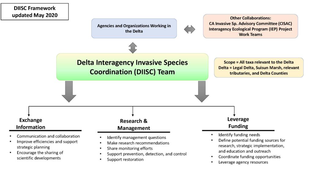 A flowchart that begins with Delta Interagency Invasive Species Coordination (DIISC) Team with arrows that point forward to Agencies and Organizations Working in the Delta and then to Other Collaborations. From Delta Interagency Invasive Species Coordination (DIISC) Team there are arrows that point down to three categories and the tasks associated with each category. They are: Exchange Information (tasks: communication and collaboration, improve efficiencies and support strategic planning, encourage the sharing of scientific developments); Research and Management (tasks: identify management questions; make research recommendations; share monitoring efforts; support prevention, detection, and control; support restoration); and Leverage Funding (tasks: identify funding needs; define potential funding sources for research, strategic communication, and education and outreach; coordinate funding opportunities; leverage agency resources). To the right of Delta Interagency Invasive Species Coordination (DIISC) Team are definitions of the scope (all taxa relevant to the Delta) and the Delta (Legal Delta, Suisun Marsh, relevant tributaries, and Delta counties). 