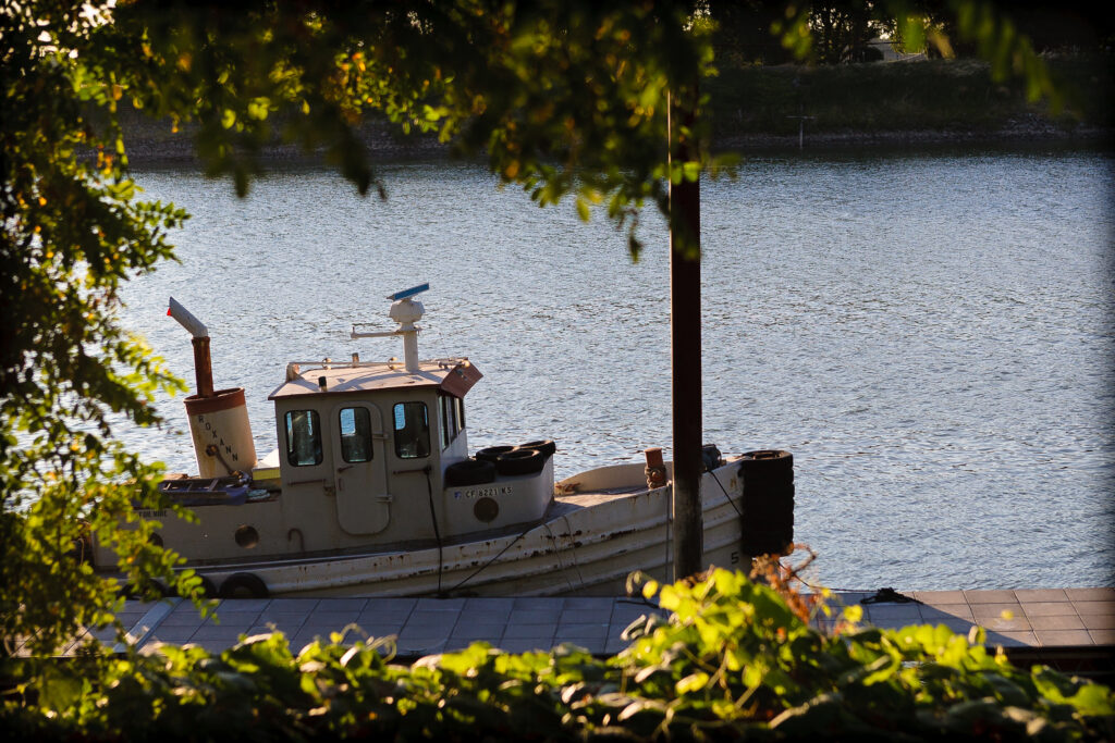 Boat on the river framed by foliage in the foreground. Photo by ZoArt Photography.