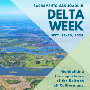 Graphic featuring an aerial view of the Sacramento-San Joaquin Delta, showing its waterways, agricultural fields, and wetlands. The design includes a diagonal overlay in translucent blue and green hues on the right side with text that reads: Sacramento-San Joaquin Delta Week; September 22-28, 2024; Highlighting the importance of the Delta to all Californians.