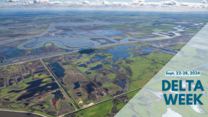 Graphic that includes an aerial view of the Sacramento-San Joaquin Delta's landscape, with winding waterways, wetlands, and agricultural fields. A text overlay reads: Sacramento-San Joaquin Delta Week, September 22-28, 2024.