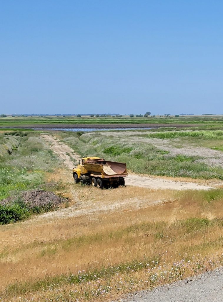 View of a vehicle parked near a roadway on Webb Tract in May 2023. Photo by Lauren Damon.