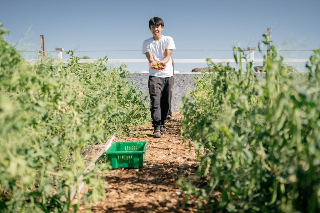 A smiling child holding freshly picked produce in their outstretched hands walks through a pathway lined with tall green plants.