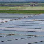 An aerial view of flooded rice fields. (Ken James / California Department of Water Resources)