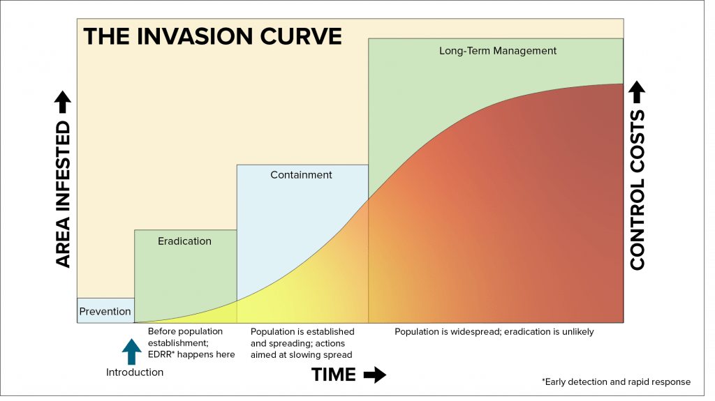 A graphic titled “The Invasion Curve.” It shows how the area infested by an invasive species and the cost of controlling it increase over time. The horizontal axis represents time, moving from introduction to widespread establishment. The left vertical axis represents area infested, increasing upward. The right vertical axis represents control costs, also increasing upward. Four colored zones illustrate management phases: Prevention, Eradication, Containment, and Long-Term Management. As the graph moves to the right, the color gradient behind the curve shifts from yellow to orange to red, symbolizing increasing difficulty and cost.
