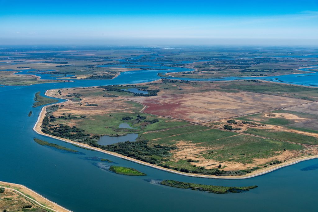 An aerial view of Webb Tract in the Sacramento-San Joaquin Delta.