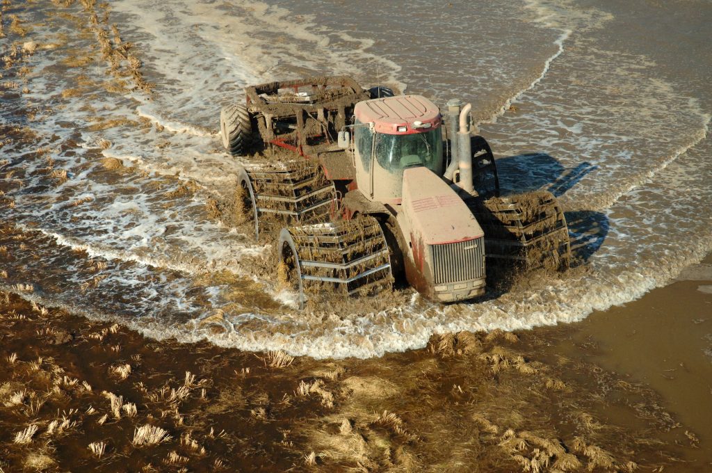 A tractor cultivates a rice field.